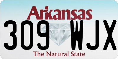 AR license plate 309WJX