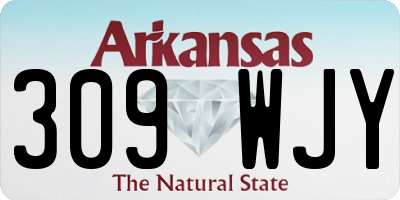 AR license plate 309WJY