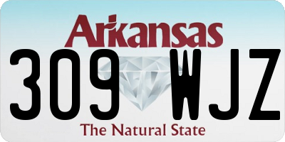 AR license plate 309WJZ
