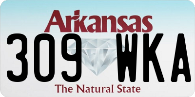 AR license plate 309WKA