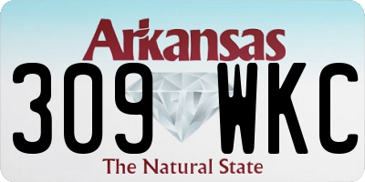 AR license plate 309WKC