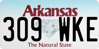 AR license plate 309WKE