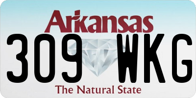 AR license plate 309WKG