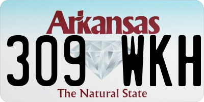 AR license plate 309WKH