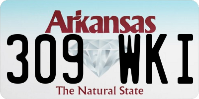 AR license plate 309WKI