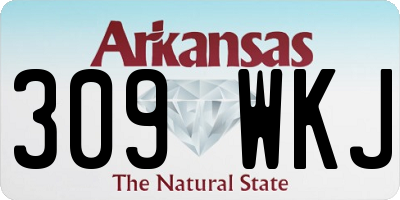 AR license plate 309WKJ