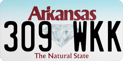 AR license plate 309WKK