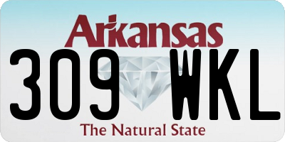 AR license plate 309WKL