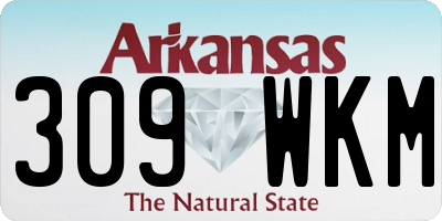 AR license plate 309WKM