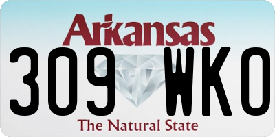 AR license plate 309WKO