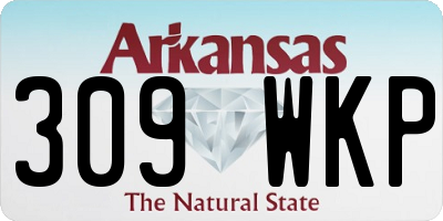 AR license plate 309WKP