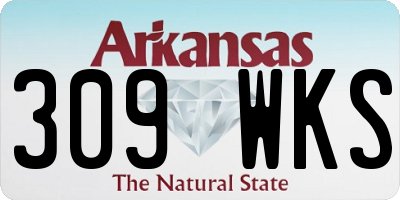 AR license plate 309WKS