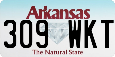 AR license plate 309WKT