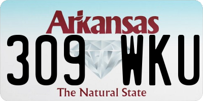 AR license plate 309WKU