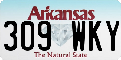 AR license plate 309WKY