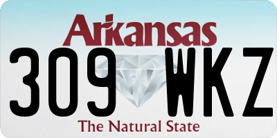AR license plate 309WKZ