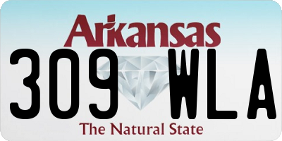 AR license plate 309WLA