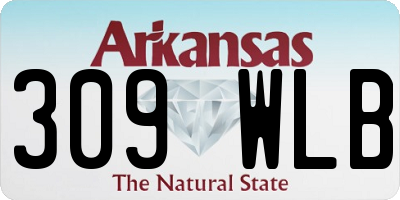 AR license plate 309WLB