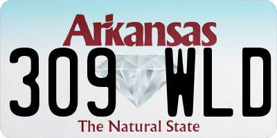 AR license plate 309WLD