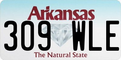 AR license plate 309WLE