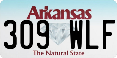 AR license plate 309WLF