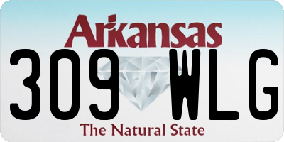 AR license plate 309WLG