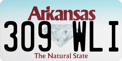 AR license plate 309WLI