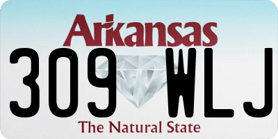 AR license plate 309WLJ