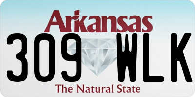 AR license plate 309WLK
