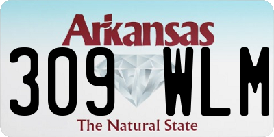 AR license plate 309WLM