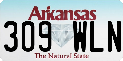 AR license plate 309WLN