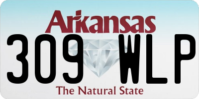 AR license plate 309WLP