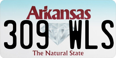 AR license plate 309WLS