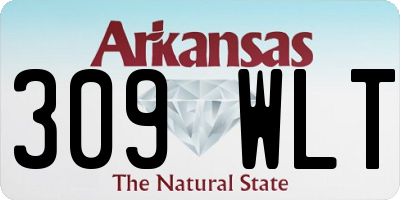 AR license plate 309WLT