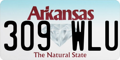 AR license plate 309WLU