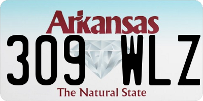 AR license plate 309WLZ
