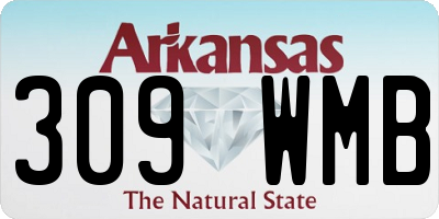 AR license plate 309WMB
