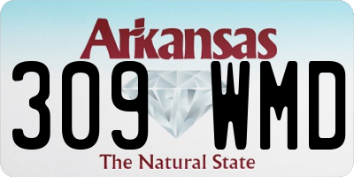 AR license plate 309WMD