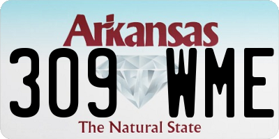 AR license plate 309WME