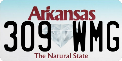 AR license plate 309WMG