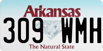 AR license plate 309WMH