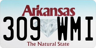 AR license plate 309WMI
