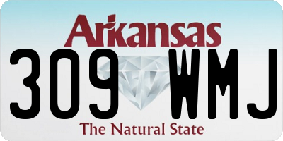 AR license plate 309WMJ