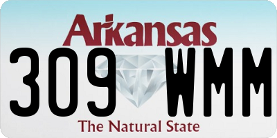 AR license plate 309WMM
