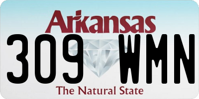 AR license plate 309WMN