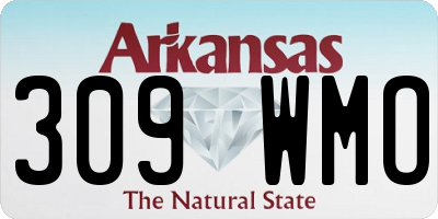 AR license plate 309WMO