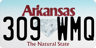 AR license plate 309WMQ