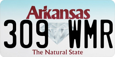 AR license plate 309WMR