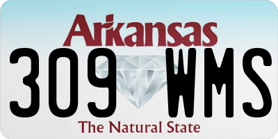 AR license plate 309WMS