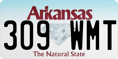 AR license plate 309WMT